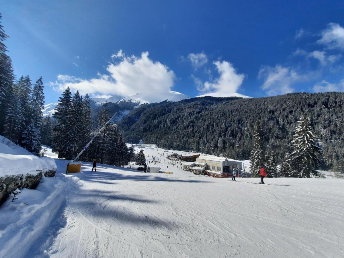 Apartment In Aspen Golf Bansko Eksteriør bilde